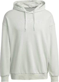 Adidas TERREX Large Logo Hoody Unitefit Men, Groen