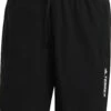 Adidas TERREX Liteflex Shorts Men, Zwart -Sport- En Outdoorkleding adidas terrex liteflex shorts men black 1