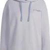 Adidas TERREX Logo Graphic Hoody Women, Zilver -Sport- En Outdoorkleding adidas terrex logo graphic hoody women silver dawn 1