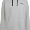 Adidas TERREX TX Logo Hoody Men, Grijs