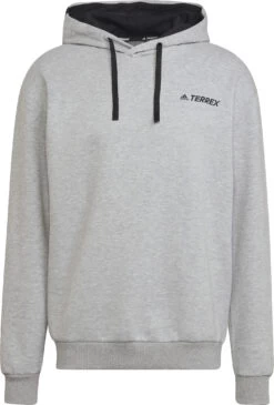 Adidas TERREX TX Logo Hoody Men, Grijs