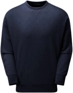 ARTILECT Artilectual Crew LS Shirt Heren, Blauw