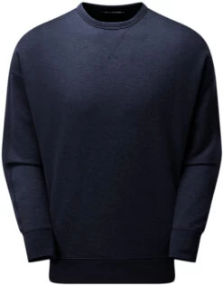 ARTILECT Artilectual Desert Crew LS Shirt Heren, Blauw
