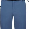 Dare 2b Tuned In Pro Shorts Heren, Blauw -Sport- En Outdoorkleding dare 2b tuned in pro shorts men stellar blue 1