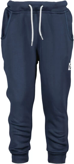 DIDRIKSONS Corin 6 Pants Kids, Blauw