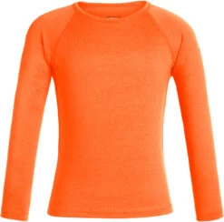 Icebreaker 200 Oasis Longsleeve Crew Top Kinderen, Oranje