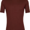 Icebreaker 200 Oasis Crew Top T-shirt Heren, Bruin -Sport- En Outdoorkleding icebreaker 200 oasis ss crew top men espresso 1