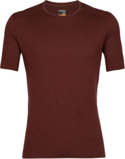 Icebreaker 200 Oasis Crew Top T-shirt Heren, Bruin