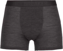 Icebreaker Anatomica Cool-Lite Boxers Heren, Grijs