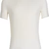 Icebreaker Anatomica Crew Top T-shirt Heren, Wit -Sport- En Outdoorkleding icebreaker anatomica kortaermad troeja herr vit 1