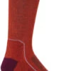 Icebreaker Hike+ Lichte Crew Sokken Dames, Rood -Sport- En Outdoorkleding icebreaker hike light crew socks women vibrant earth go berry 1