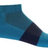 Icebreaker Multisport Light Micro Sokken Heren, Blauw -Sport- En Outdoorkleding icebreaker multisport light micro socks men geo blue royal navy 1
