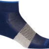 Icebreaker Multisport Light Mini Sokken Heren, Blauw -Sport- En Outdoorkleding icebreaker multisport light mini socks men royal navy lazurite ether 1