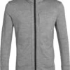 Icebreaker Quantum III LS Zip Hood Jas Heren, Grijs -Sport- En Outdoorkleding icebreaker quantum iii ls zip hood jacket men metro heather black 1