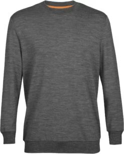 Icebreaker Shifter LS Sweatshirt Heren, Grijs