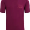 Icebreaker Tech Lite II Mountain Sunset SS Tee Men, Violet -Sport- En Outdoorkleding icebreaker tech lite ii mountain sunset ss tee men go berry 1