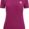 Icebreaker Tech Lite II Springtime Flowers SS Tee Women, Violet -Sport- En Outdoorkleding icebreaker tech lite ii springtime flowers ss tee women go berry 1