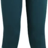 Icebreaker ZoneKnit 200 Legging Dames, Blauw/groen -Sport- En Outdoorkleding icebreaker zoneknit 200 leggings women green glory fresh 1
