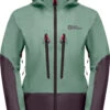 Jack Wolfskin Alpspitze 3L Jas Dames, Groen/violet -Sport- En Outdoorkleding jack wolfskin alpspitze 3l jacket women granite green 1