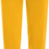 Jack Wolfskin Essential Zweetbroek Dames, Geel 2 Jack Wolfskin Essential Zweetbroek Dames, Geel -Sport- En Outdoorkleding jack wolfskin essential sweat pants women burly yellow xt 1
