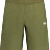 Maloja GamsscharteM. Organic Hennep Stretch Shorts Heren, Olijf -Sport- En Outdoorkleding maloja gamsschartem organic hemp strech shorts men moss 1