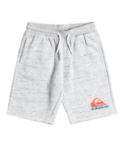 Quiksilver Easy Day Korte Broek Jongeren, Grijs