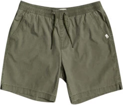 Quiksilver Taxer Wandelshorts Heren, Groen
