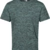 Regatta Fingal Edition T-shirt Heren, Groen -Sport- En Outdoorkleding regatta fingal edition t shirt men sea pine 1