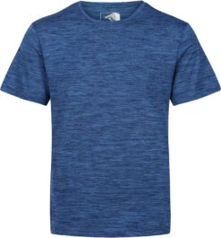 Regatta Fingal Edition T-shirt Heren, Blauw