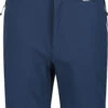 Regatta Mountain II Shorts Men, Blauw -Sport- En Outdoorkleding regatta mountain ii shorts men blue wing navy 1