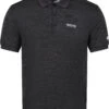 Regatta Remex II T-Shirt Heren, Grijs -Sport- En Outdoorkleding regatta remex ii t shirt men ash 1