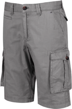 Regatta Shorebay Korte Broek Heren, Grijs