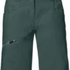 VAUDE Skarvan Bermuda's Dames, Groen -Sport- En Outdoorkleding vaude skarvan bermudas women dusty forest 1